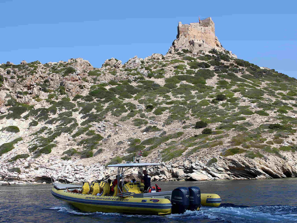 Die „Pardela balear“ beobachten