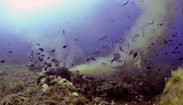 ¿Qué nos  están contando?