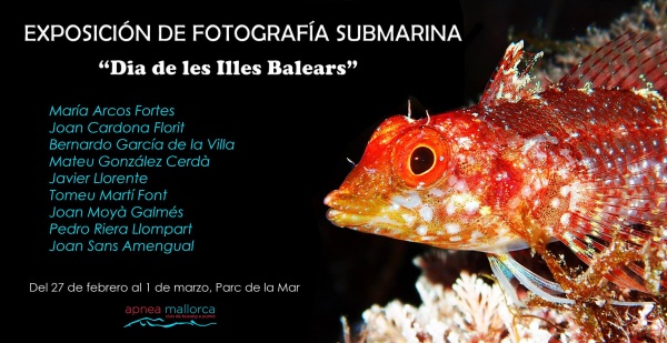 El Parc de la Mar acogerá una muestra de fotografías en apnea