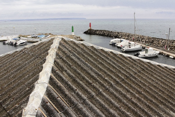 Molinar: el mundo al revés