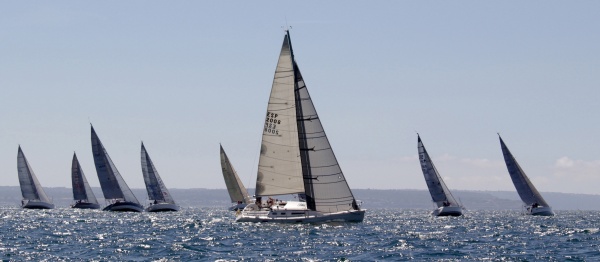January Sails, vencedor absoluto del XV Memorial Raimundo Reus