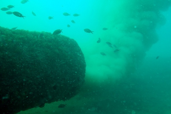 Un día cualquiera en el emisario de Ciudad Jardín
