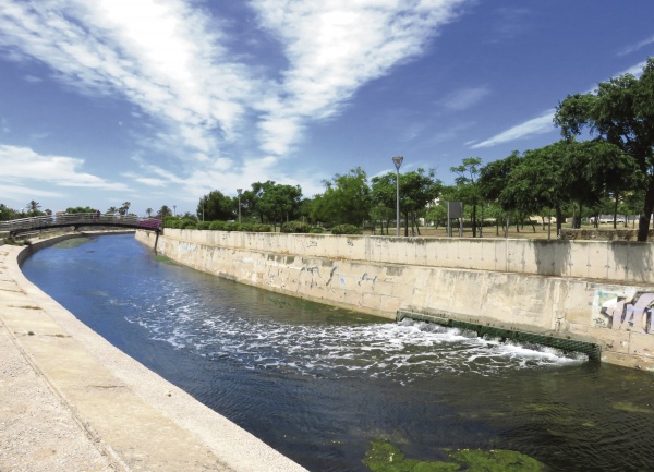 Salmuera, veneno para la posidonia