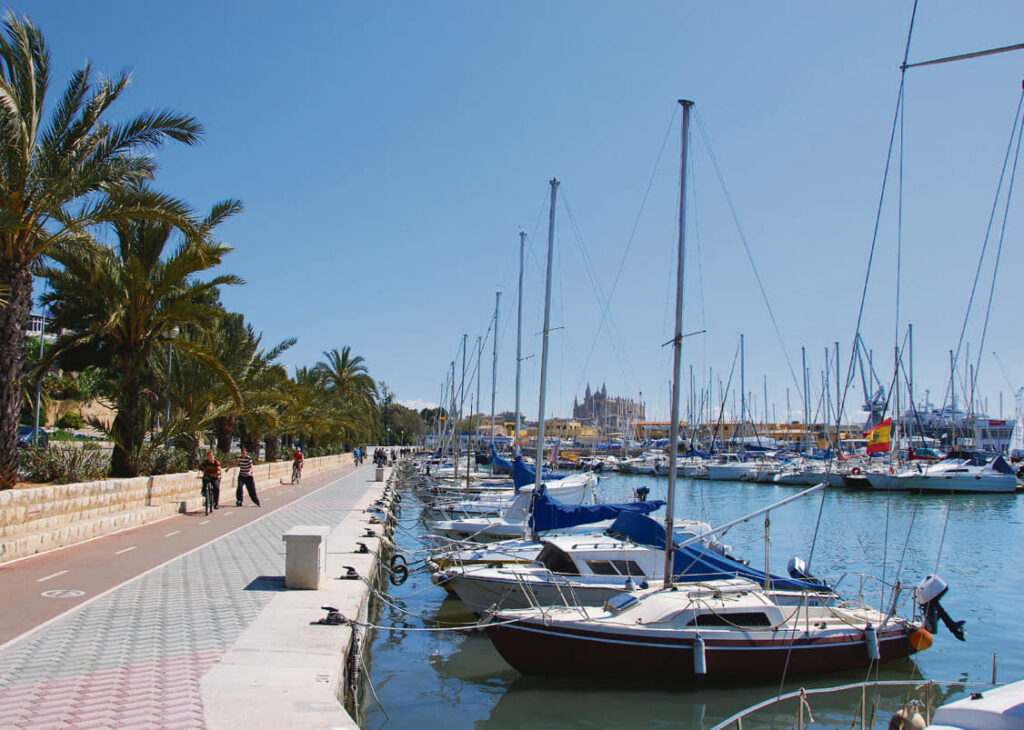 Funcionarios alegan que sus amarres gratis son un «derecho social»