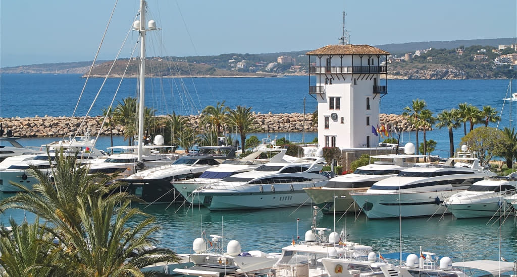 Cómo planificar y gestionar una marina sin morir en el intento (II)