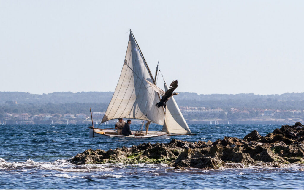Snipe y Vela Latina en la Lliga Fan Mallorca Shopping de Cala Gamba