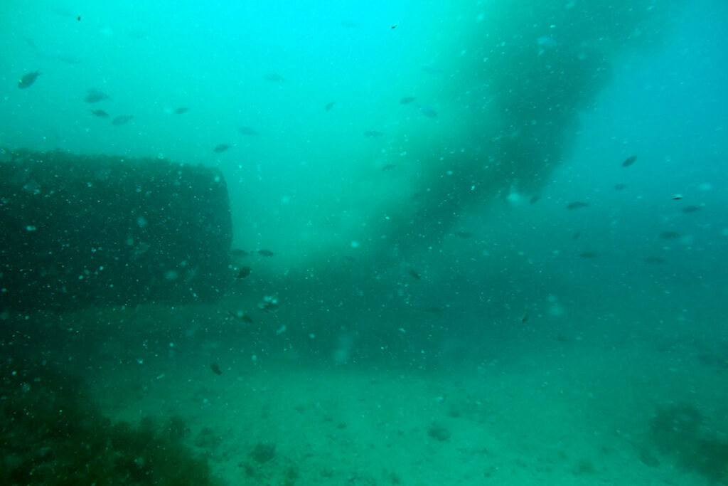 ¿Traidores o bipolares?