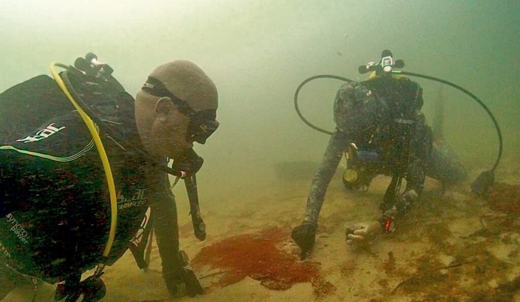Un borrador de decreto de la posidinia de copia y pega