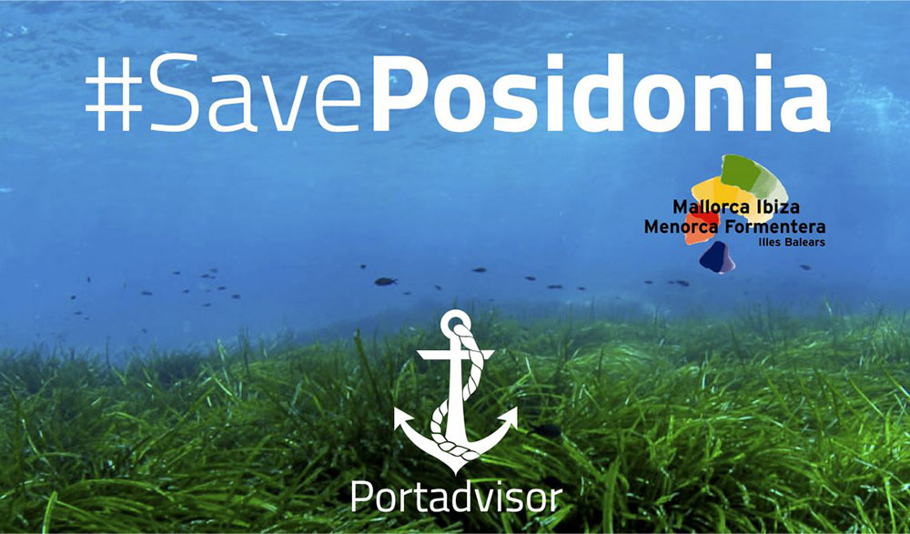 Portadvisor se actualiza y se une a la causa #SavePosidonia