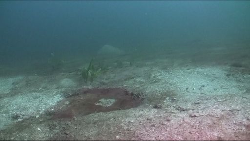 Historia de una  investigación