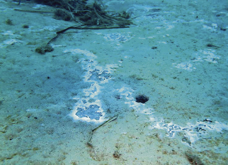 Aparecen unas extrañas manchas en el fondo del Port de Sóller