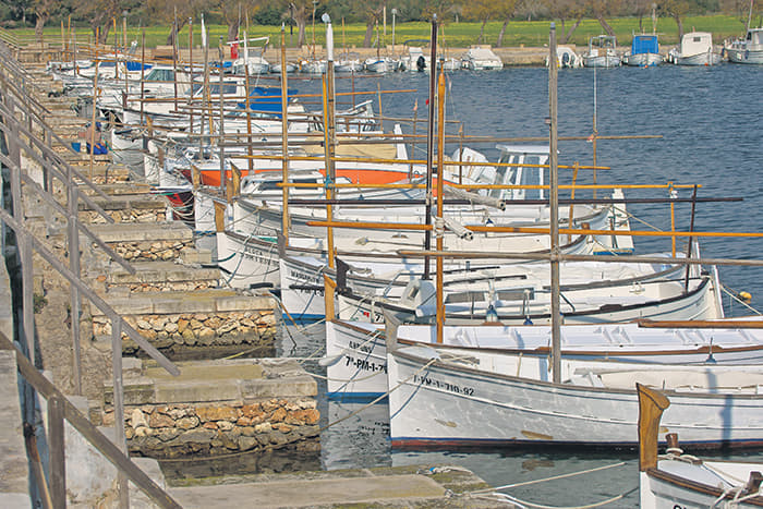 Ports IB o cómo hacer mucho con poco