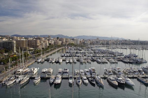 La APB desestima la prórroga del Pantalán de la Cuarentena