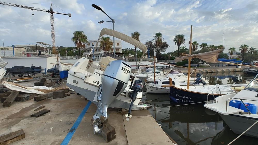 Sólo las autoridades marinas podrán multar por fondear sobre posidonia