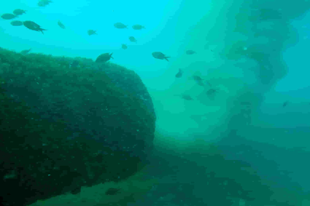 El informe encargado por el sector náutico que revela la verdad incómoda de los vertidos