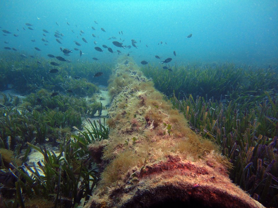 El Pacte rechaza regular los vertidos