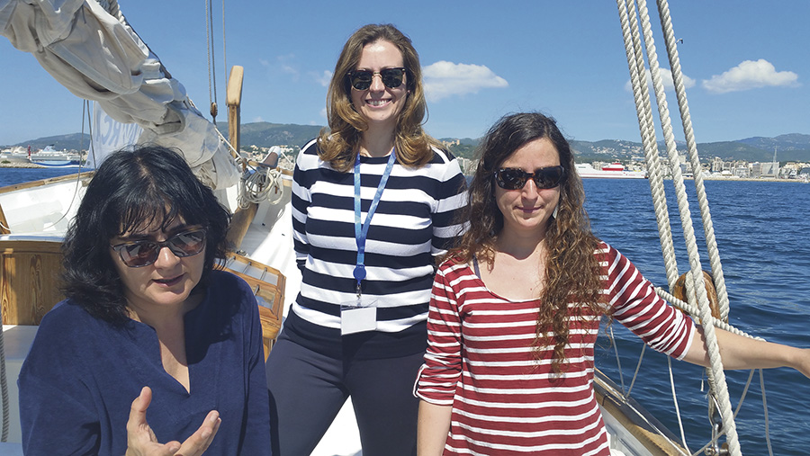 Die Posidonia im Rampenlicht