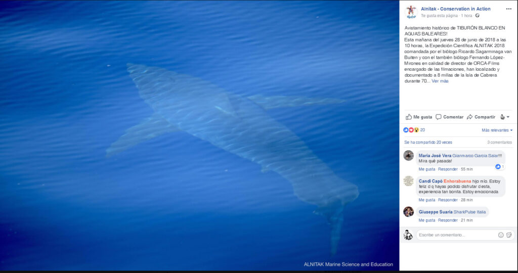 Avistado un tiburón blanco de cinco metros cerca de Cabrera