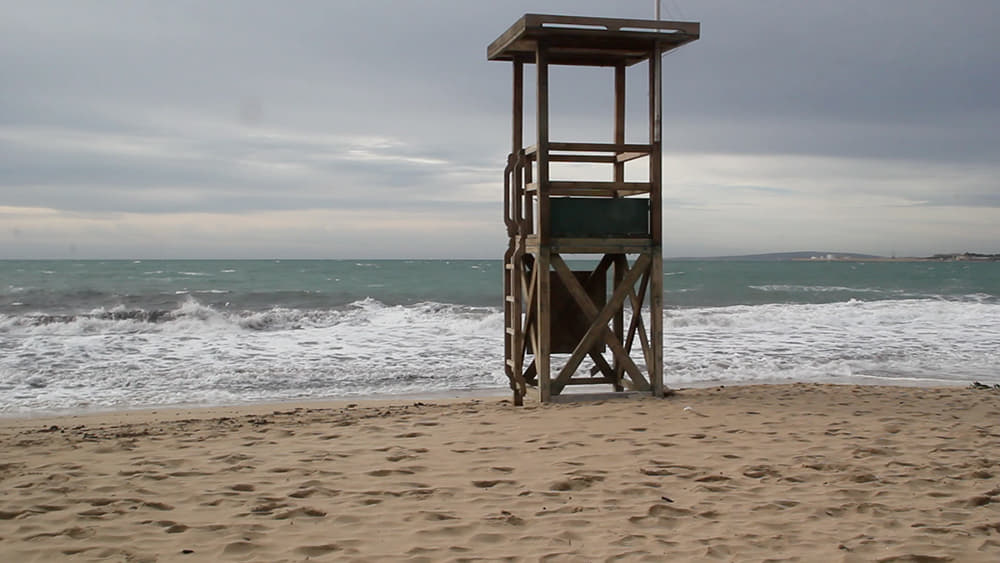 Avistada una tintorera en la playa de Can Pere Antoni