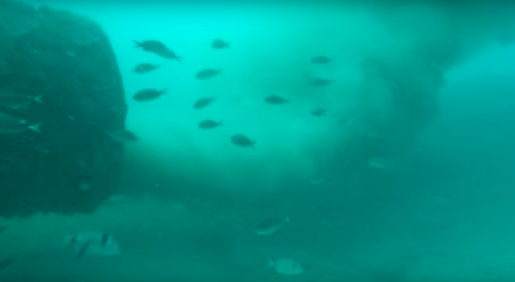 Denuncia ante la Fiscalía por los vertidos en la Bahía de Palma