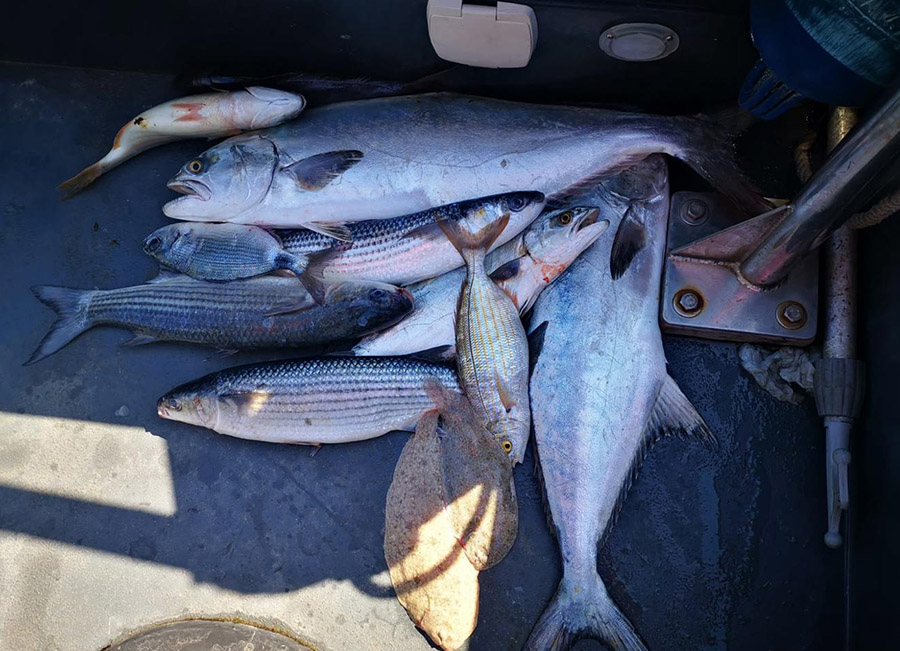 Interceptados dos furtivos en las reservas marinas de Baleares