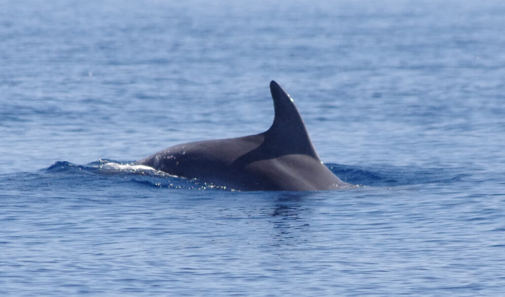 La poesía en la industria náutica