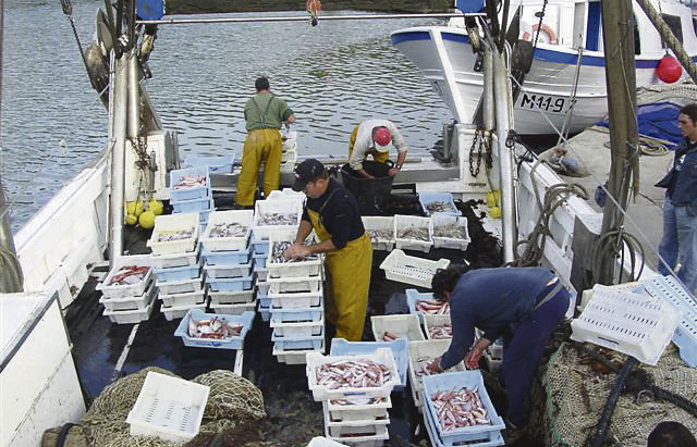 La UE no logrará recuperar los caladeros sobreexplotados antes de 2020