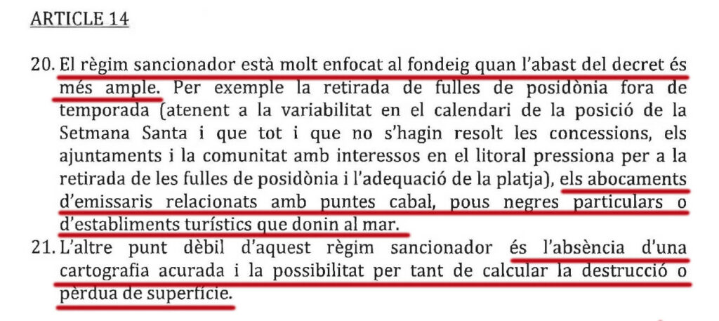 Científicos advirtieron al Govern del excesivo enfoque al fondeo en su decreto de posidonia