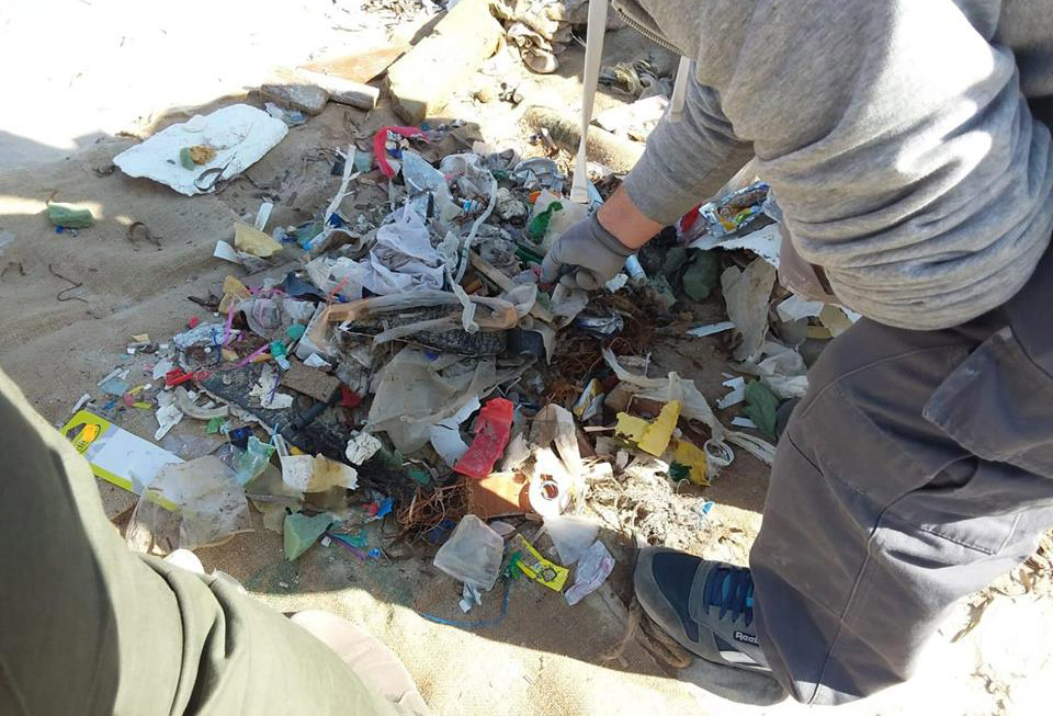 Astilleros de Mallorca colaborará con la fundación Save the Med