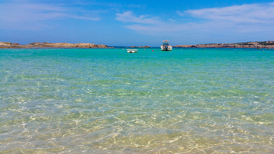 El Foro Marino de Ibiza y Formentera analizará el estado del Mediterráneo