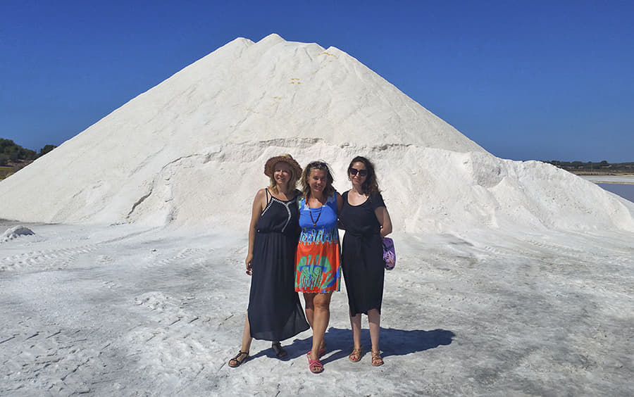 Rosafarbene Flamingos