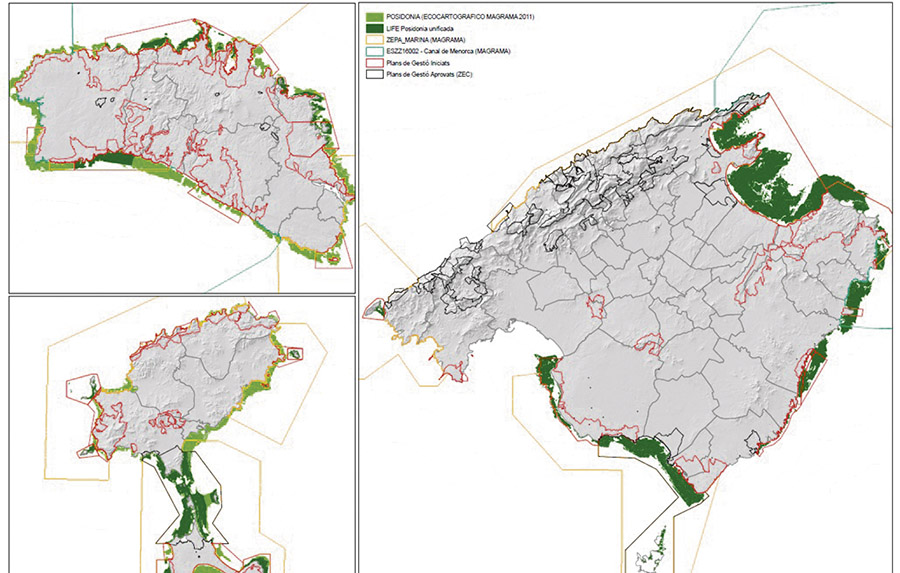 Komplette Kartografie der Posidonia