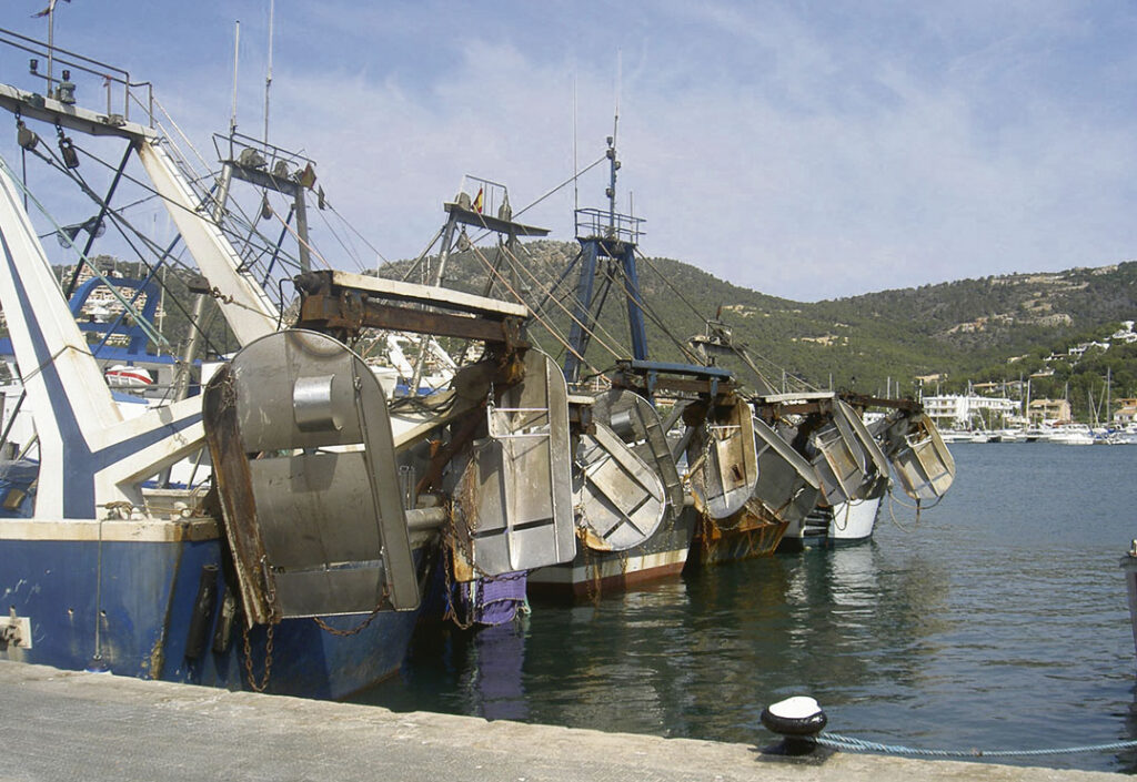 Oceana considera que la nueva regulación de la pesca de arrastre consagra la sobreexplotación