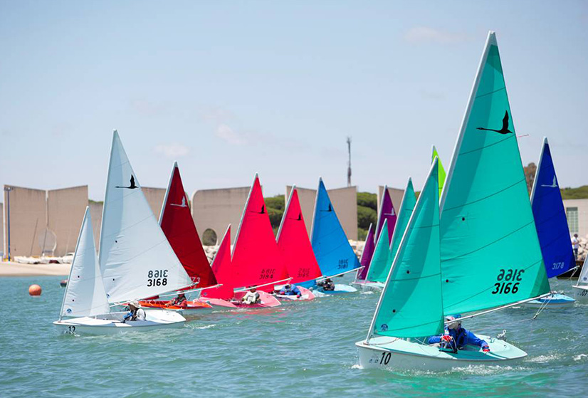 Violeta del Reino luchará por el campeonato de Europa de Hansa 303