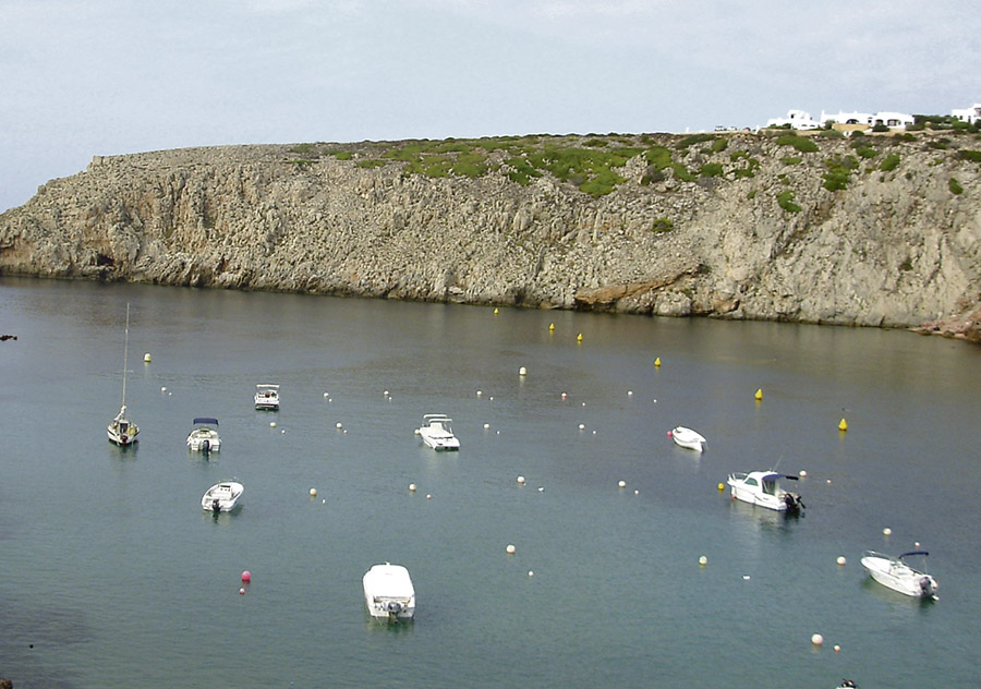 El Comité Posidonia destinará 200.000 euros a proteger esta planta marina