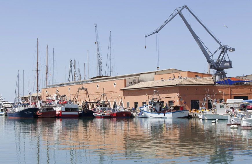 El Govern insta a mantener el suministro de pescado fresco