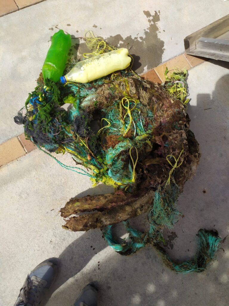 Rescate de una tortuga atrapada en plásticos en Ibiza