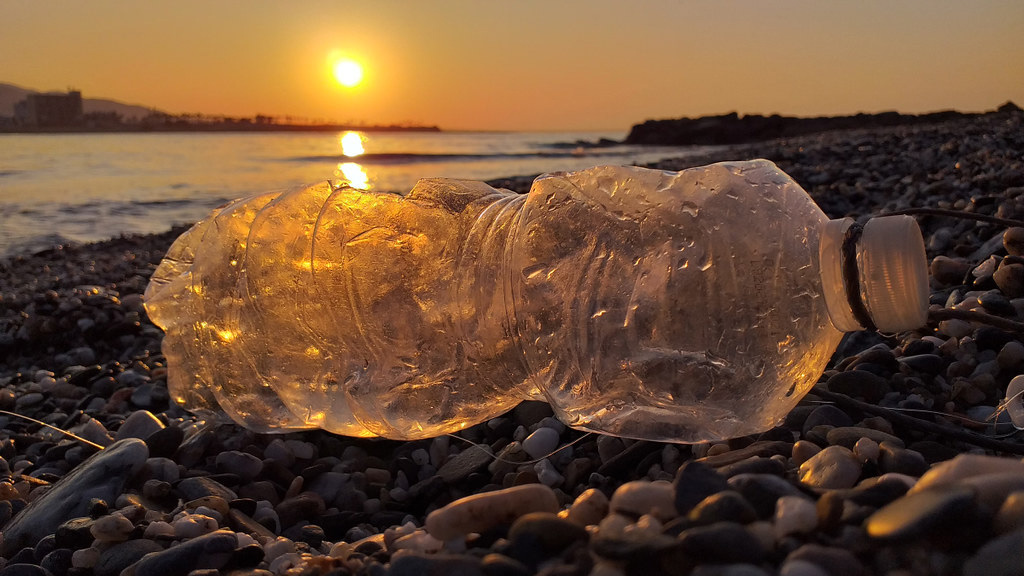 Oceana pide prohibir los plásticos más dañinos para el medio marino
