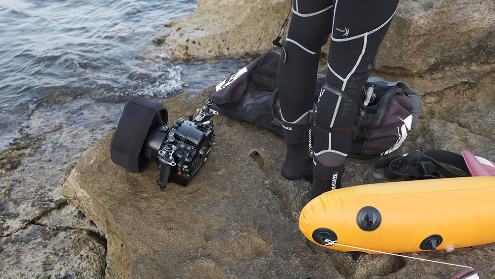 Nace MARE, un certamen audiovisual para la conservación del Mar Balear