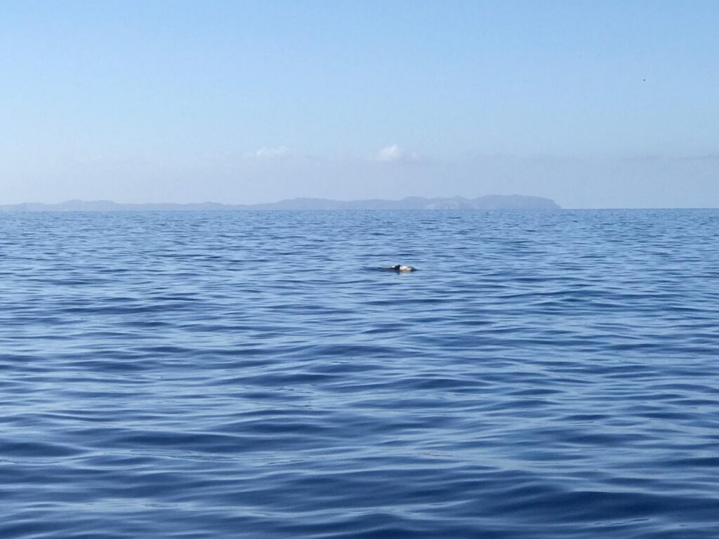 Sospechan que el cadáver de Cabo Blanco es de un inmigrante