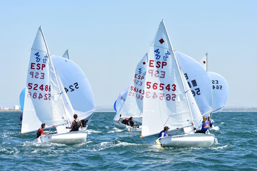 La FBV implanta la licencia virtual para dejar de imprimir miles de tarjetas de plástico