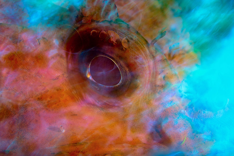 Las mejores imágenes del mar Balear