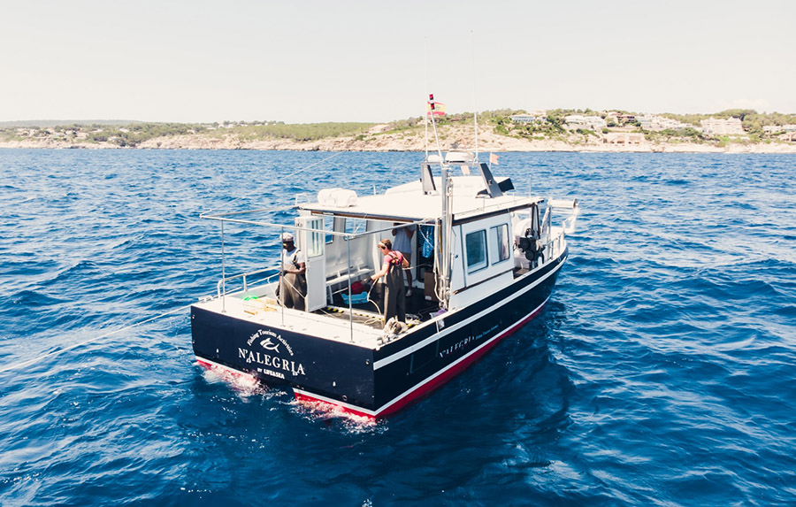 Life & Sea: la experiencia turística de pescar