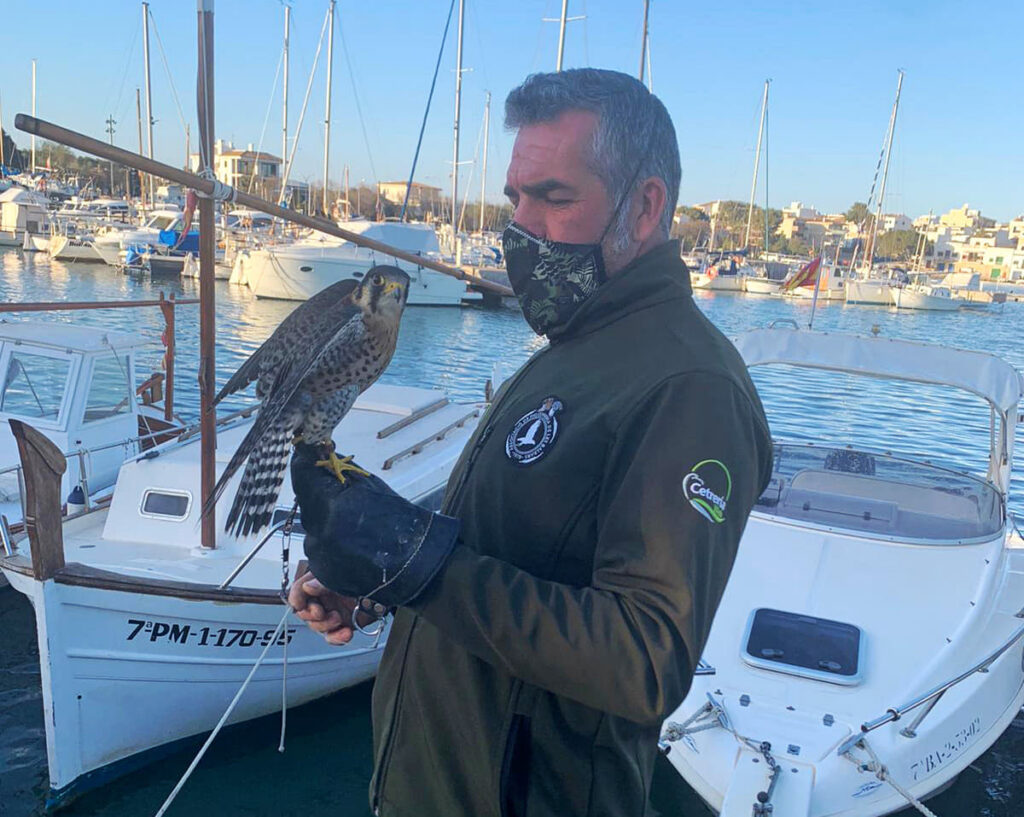 Balí, el centinela del club náutico