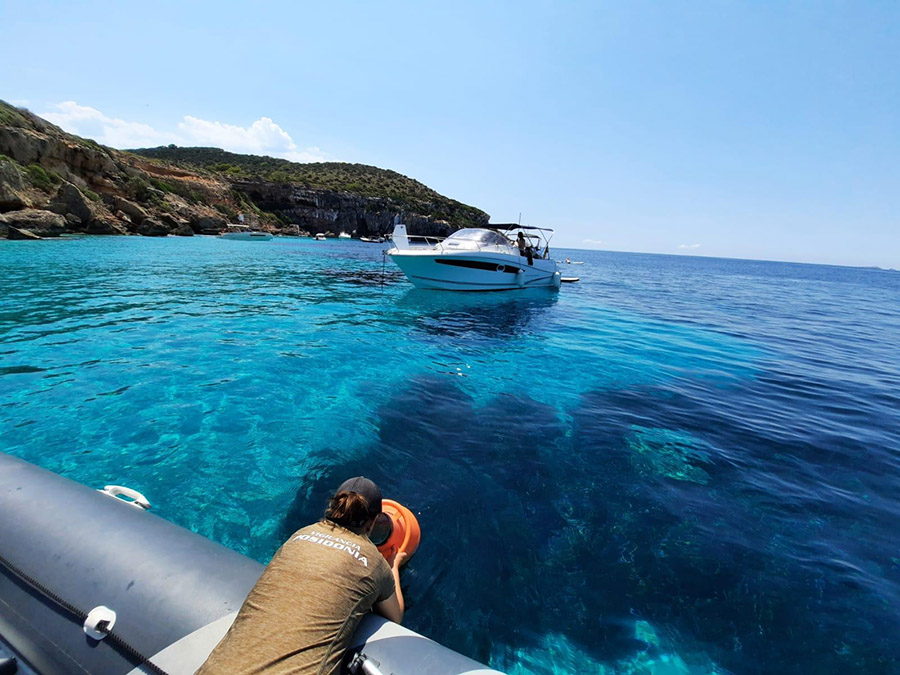 Se inicia el Servicio de vigilancia de la posidonia en las Pitiüses