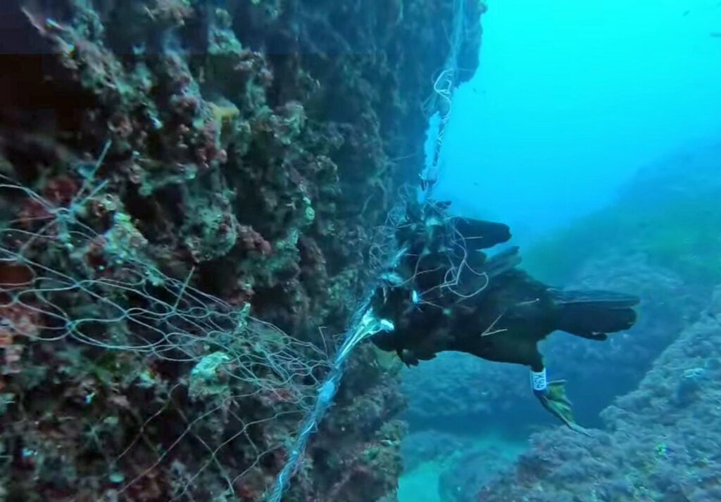Los pescadores recreativos se rebelan: “Stop falsas reservas”