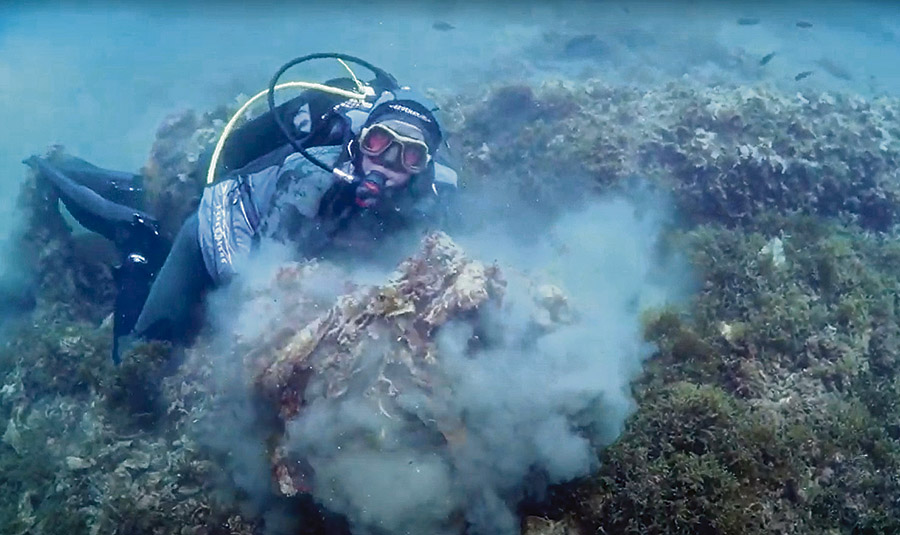 ¿Le sirve esta foto?