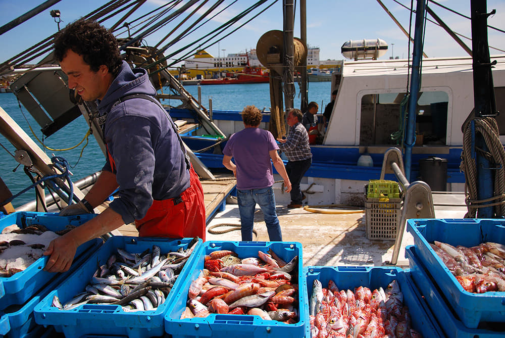 La APB saca a concurso la Lonja del pescado de Palma