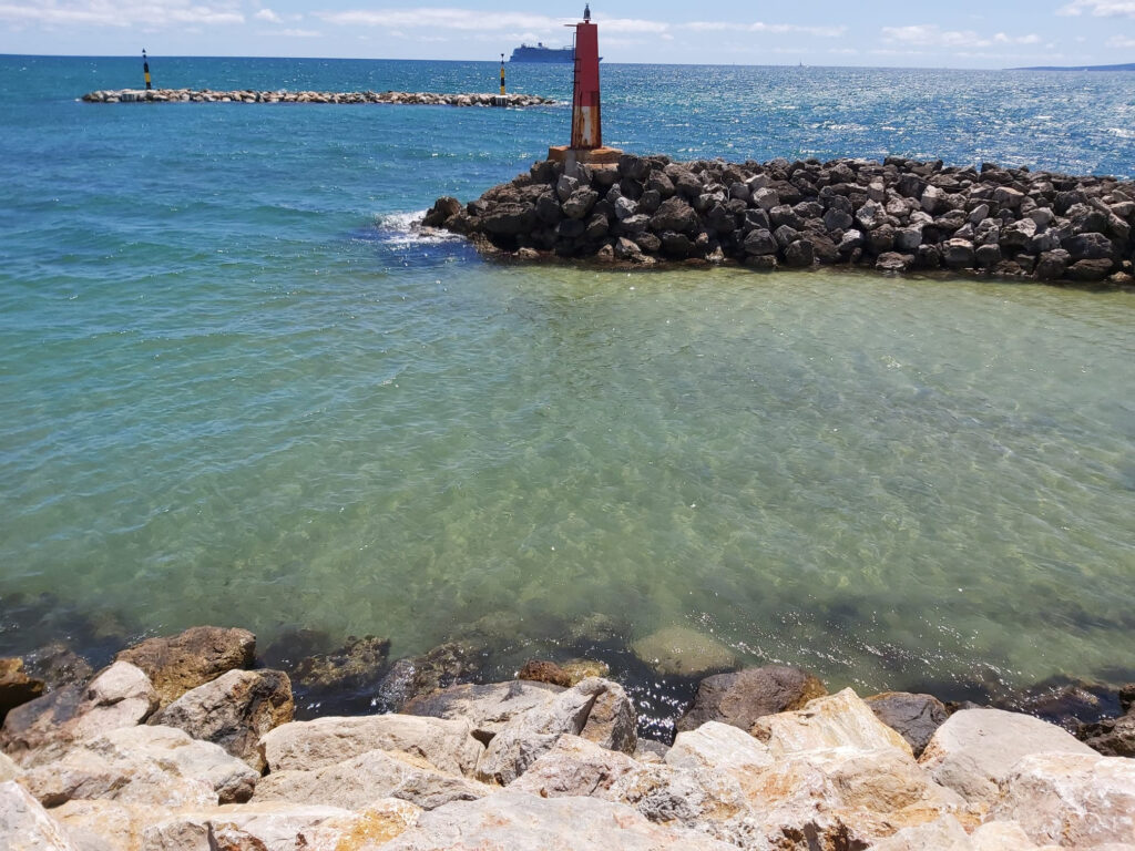 El TSJB tumba la multa de la APB que apuntilló al Club Marítimo Molinar