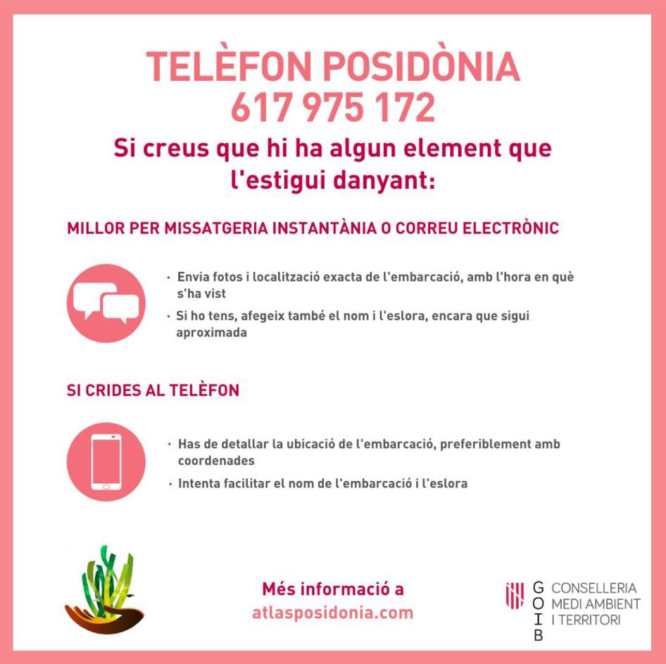 Pasado y presente de las delaciones